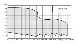 Native-IPN