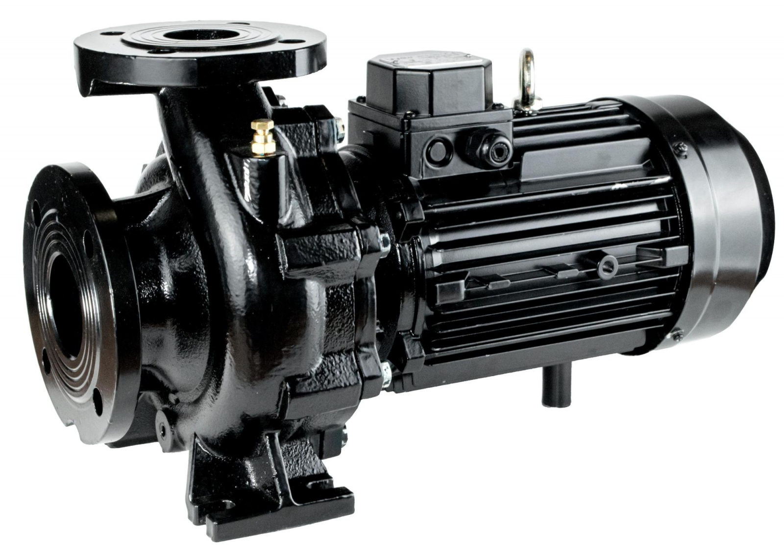 NBW 125-100-200/2-G (2 полюса двигателя, рабочее колесо - чугун)