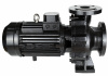 NBW 125-100-200/2-G (2 полюса двигателя, рабочее колесо - чугун)